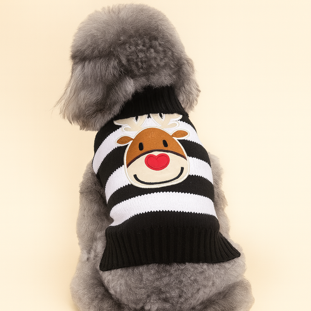 Rudolph Candy-Stripe Knit