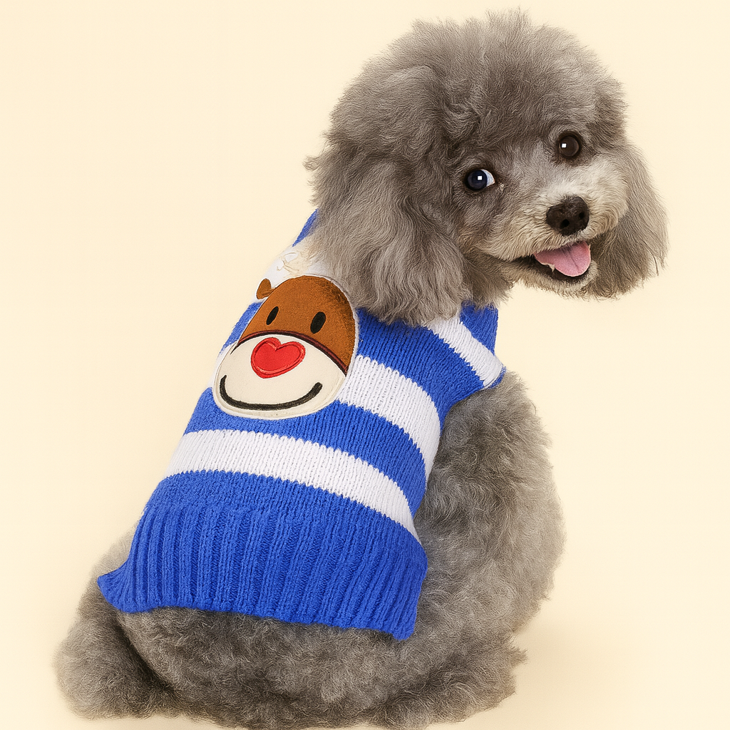 Rudolph Candy-Stripe Knit