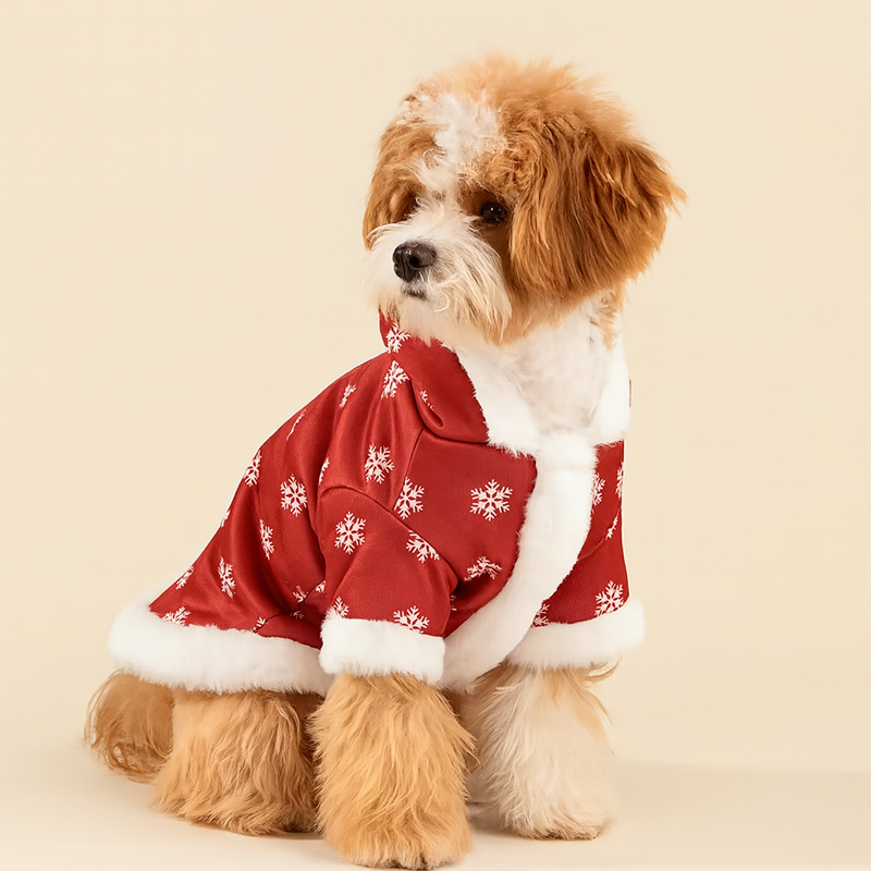 Snowflake Santa Coat