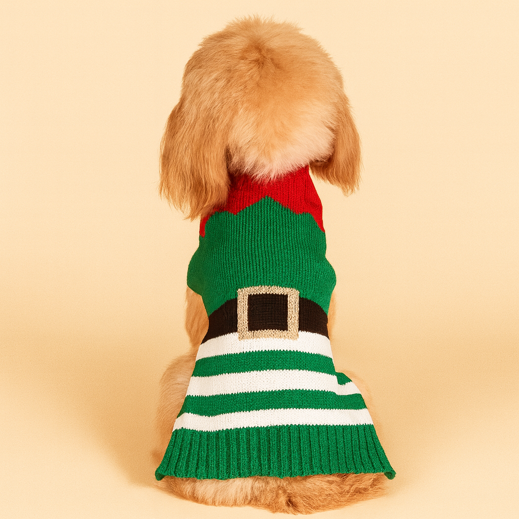 Holiday Elf Pup Sweater