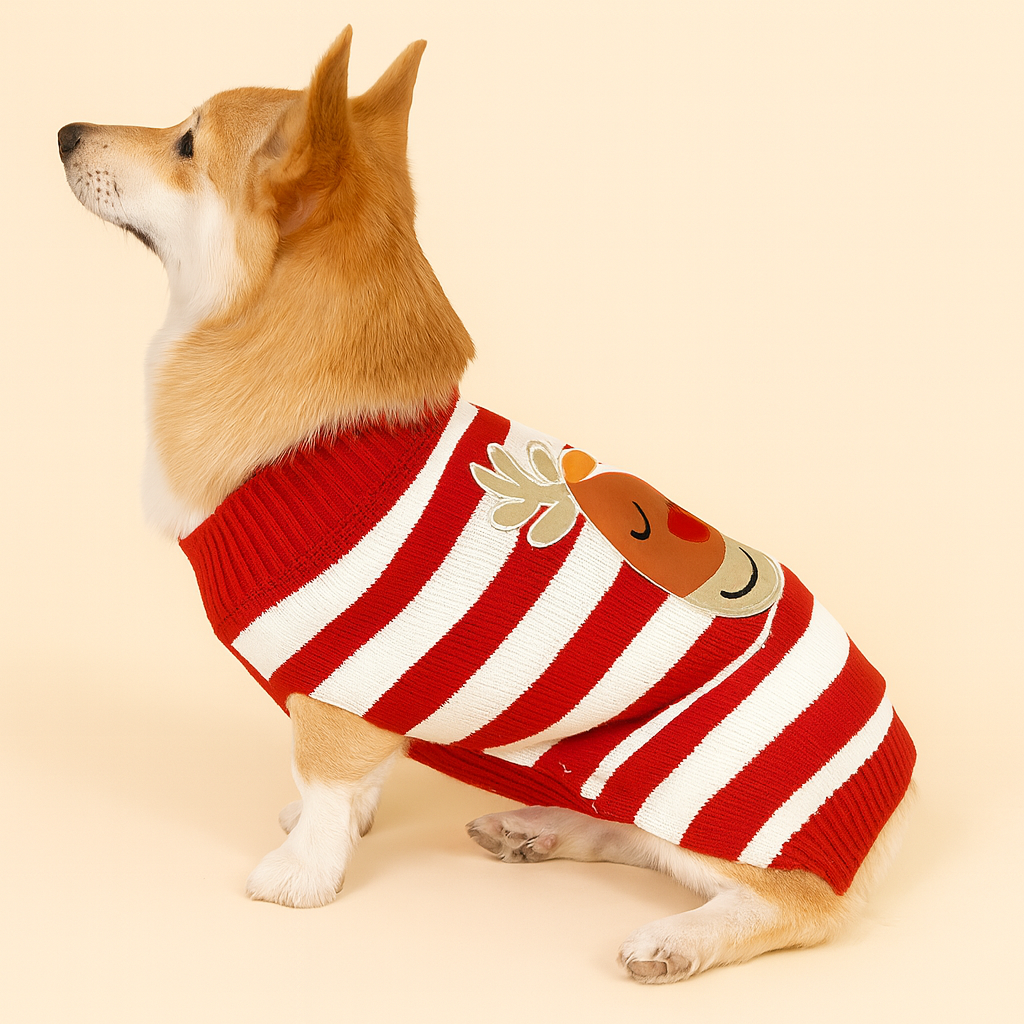 Rudolph Candy-Stripe Knit
