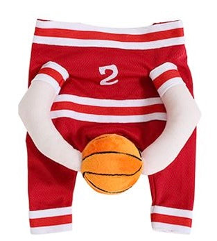 Pup Basketball Costume