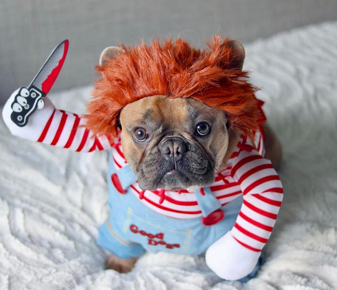 Killer Doll Pup Costume