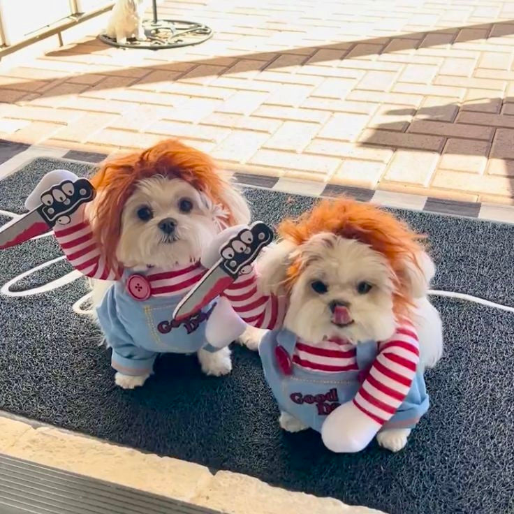 Killer Doll Pup Costume