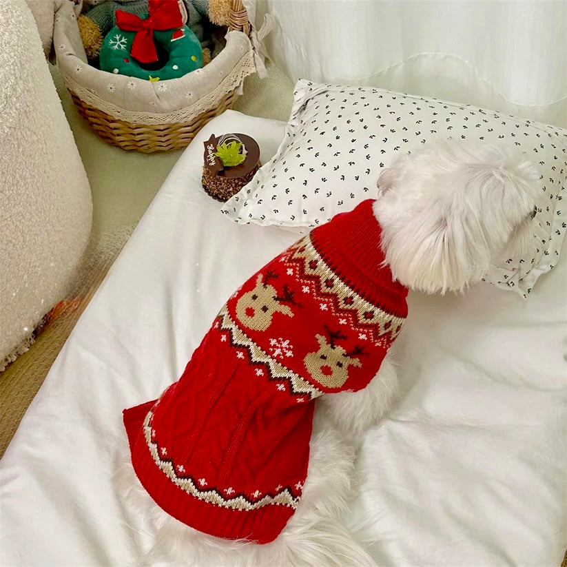 Rudolph Knit Holiday Pup Sweater