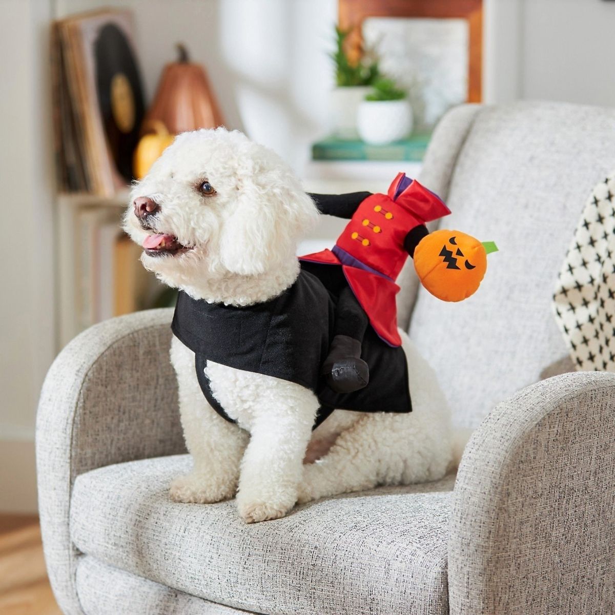 Headless Horsepup Costume