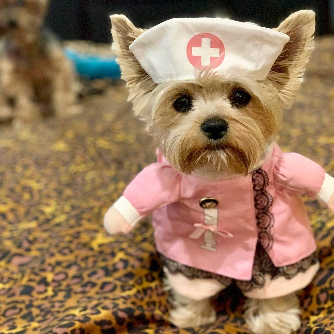 Nurse Pup Costume