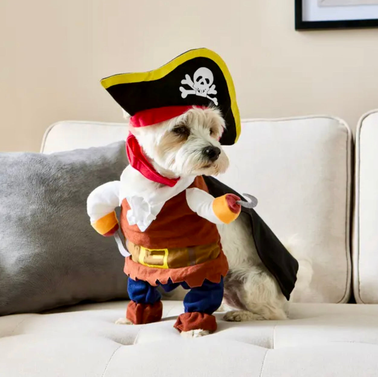 Pirate Pup Costume