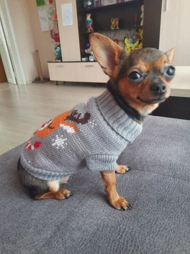 Comet's Cozy Serenade Sweater