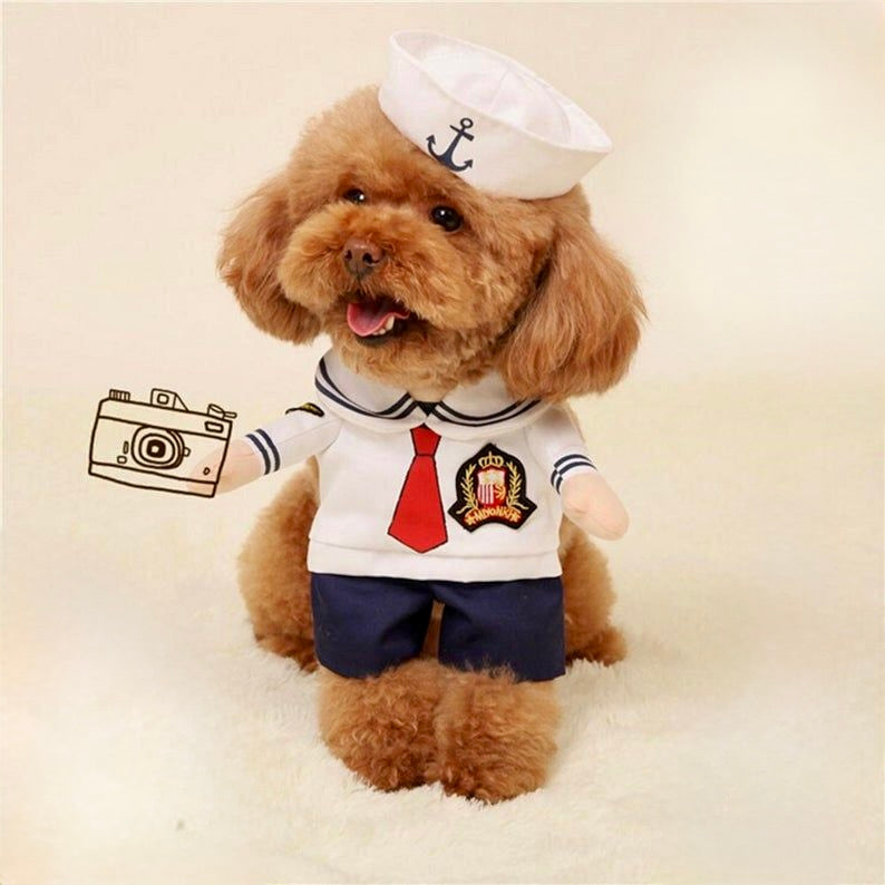Sailor Pup Costume
