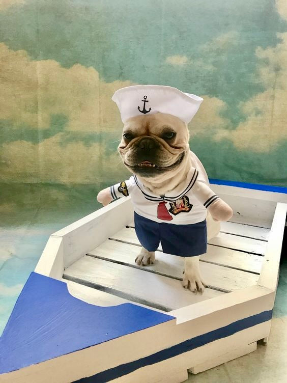 Sailor Pup Costume