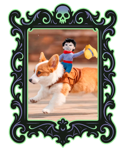 Cowboy Rider Pup Costume