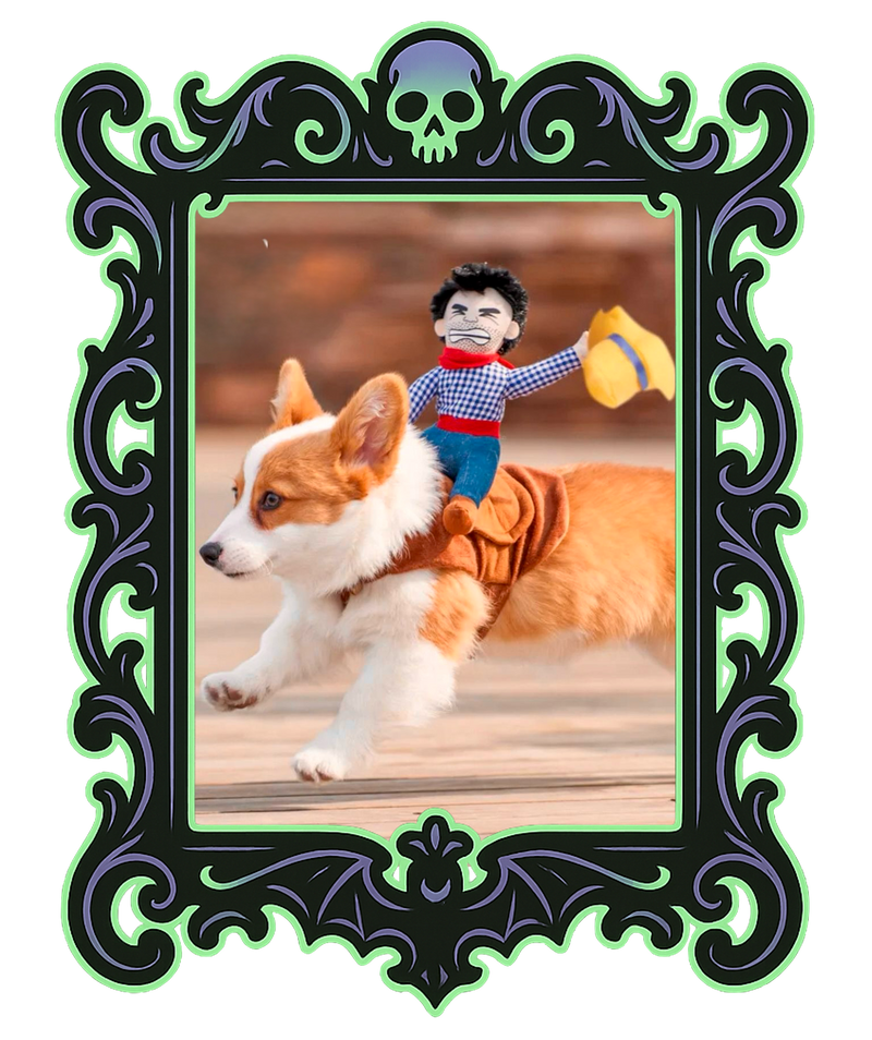 Cowboy Rider Pup Costume