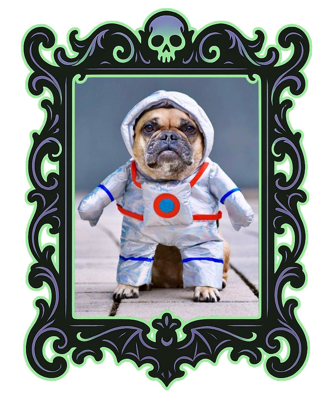 Pup Astronaut Costume