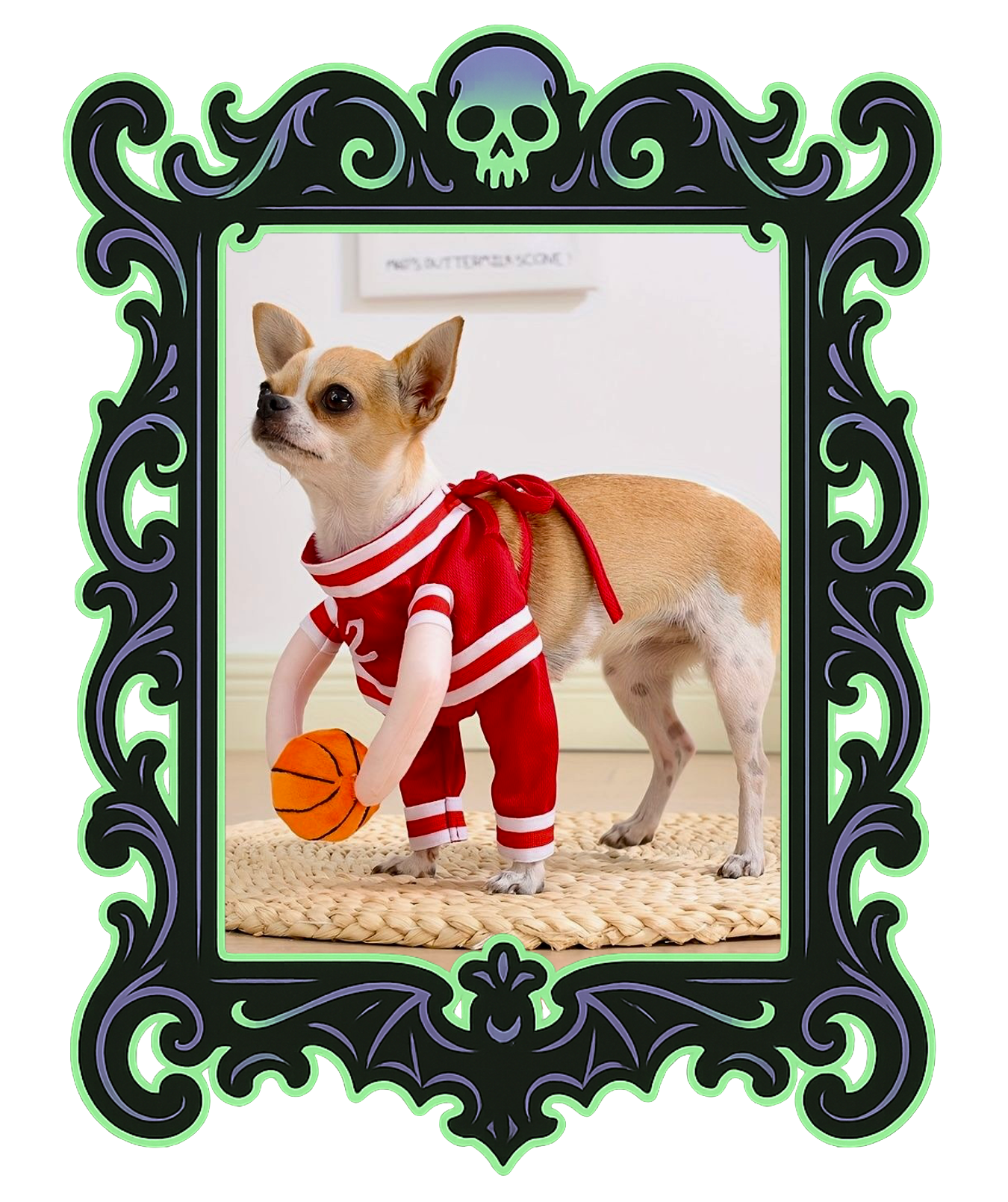 Pup Basketball Costume