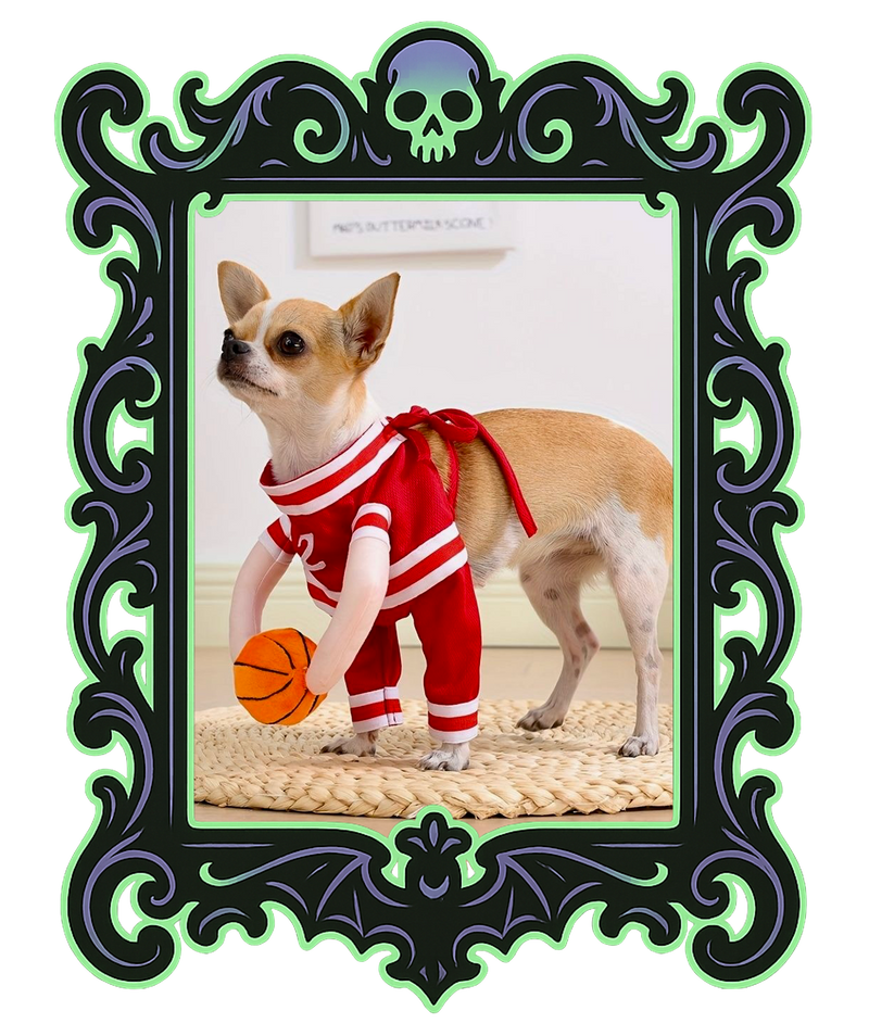 Pup Basketball Costume