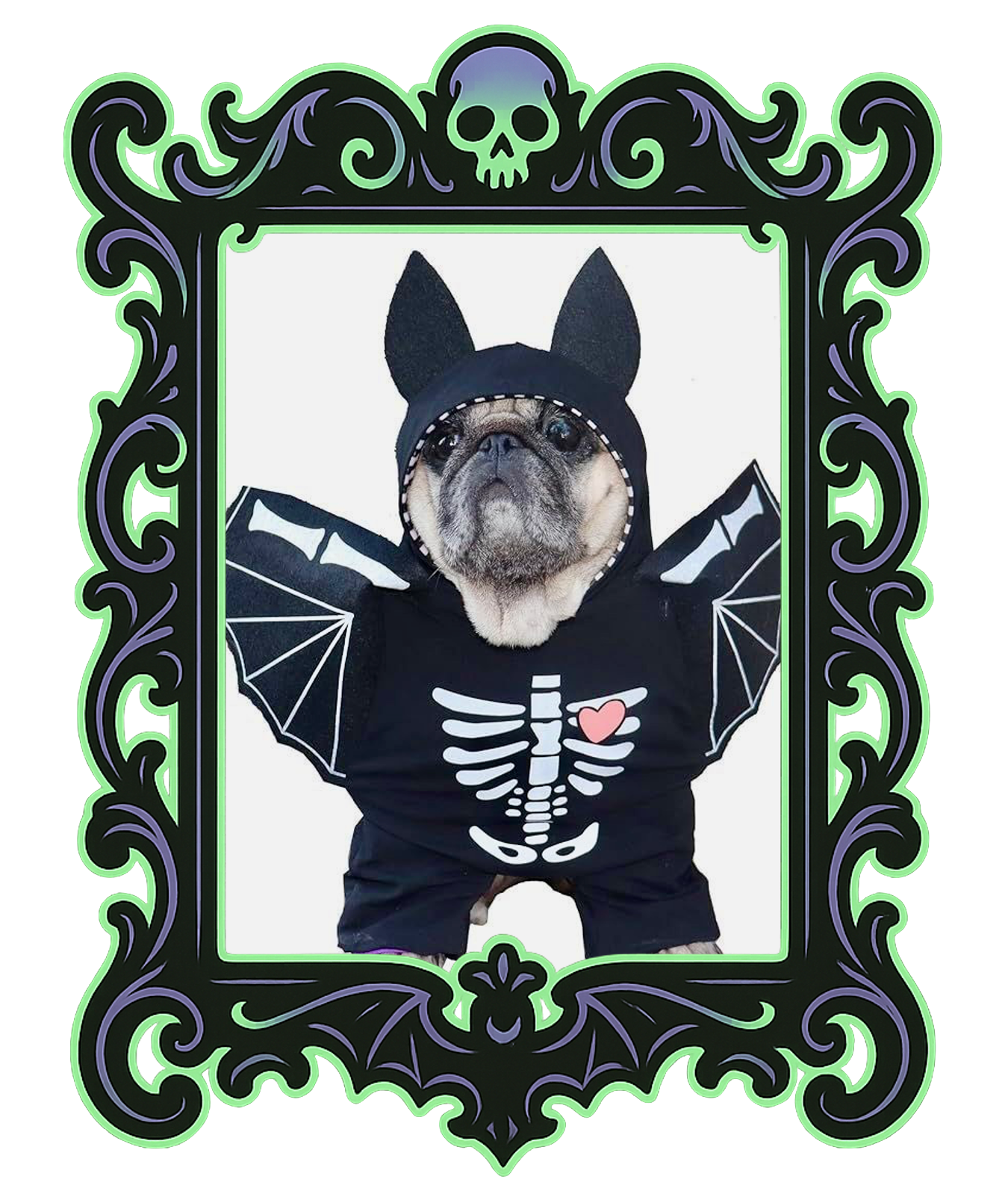 Pup Skeleton Bat Costume