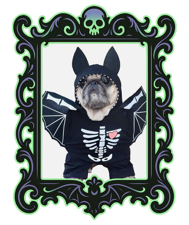 Pup Skeleton Bat Costume