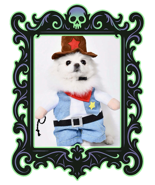 Cowboy Pup Costume