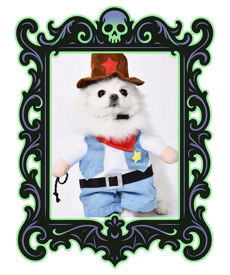 Cowboy Pup Costume