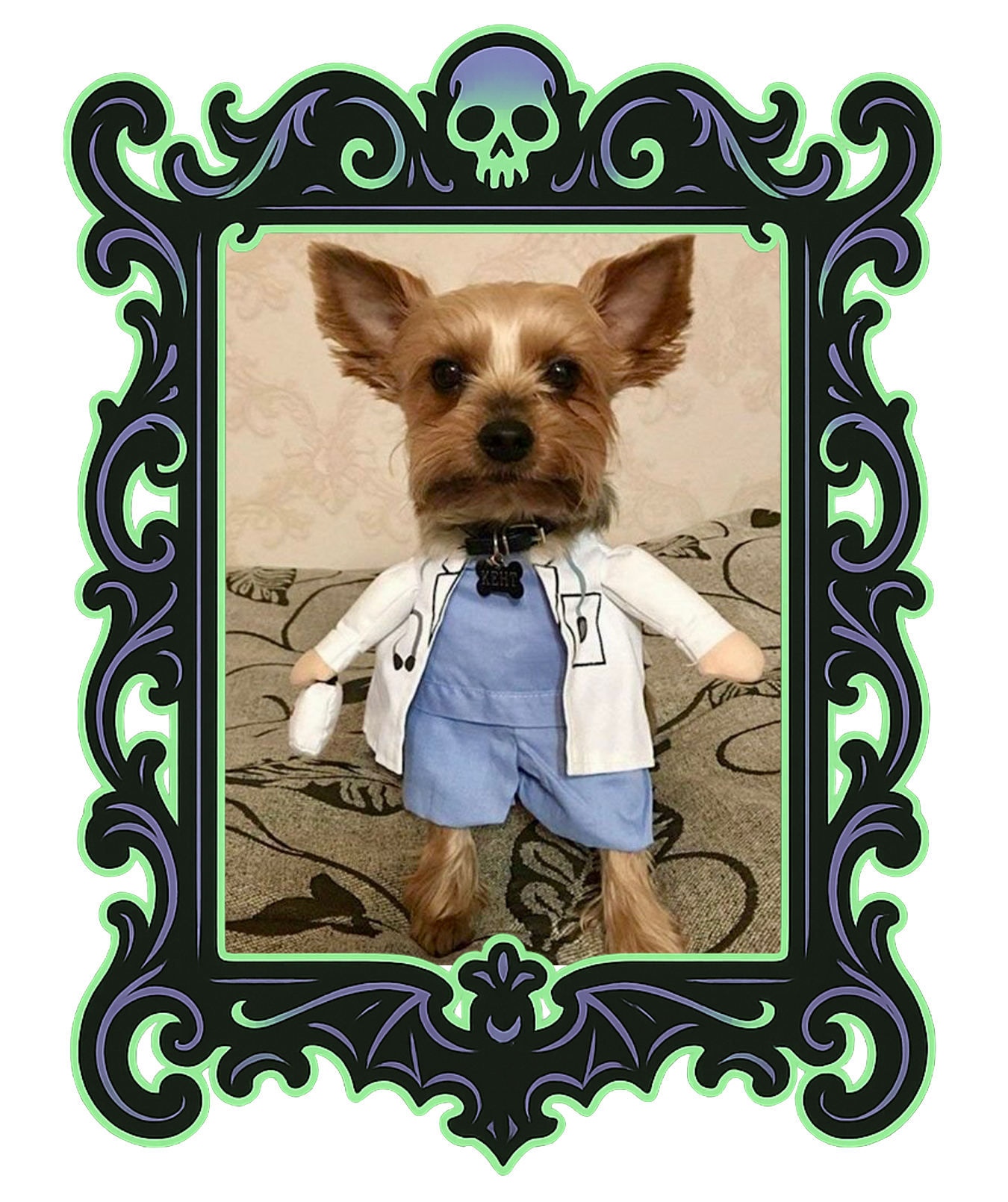 Doctor Pup Costume