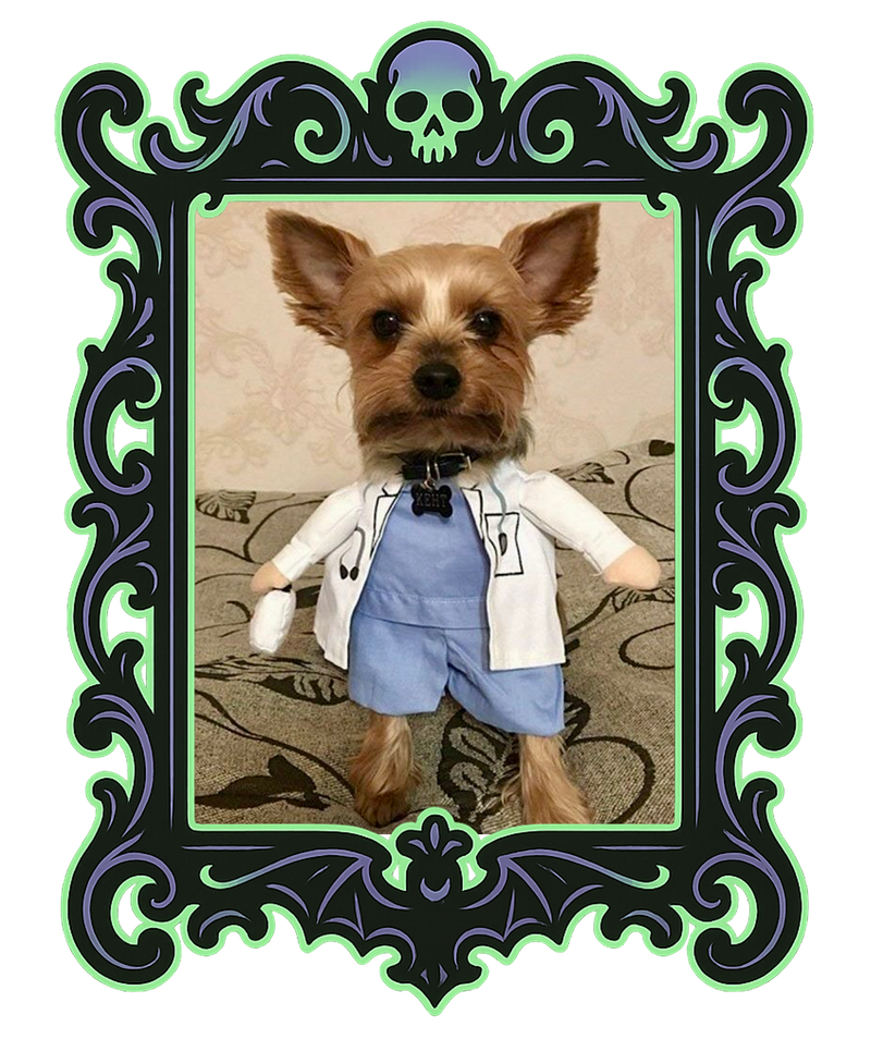 Doctor Pup Costume