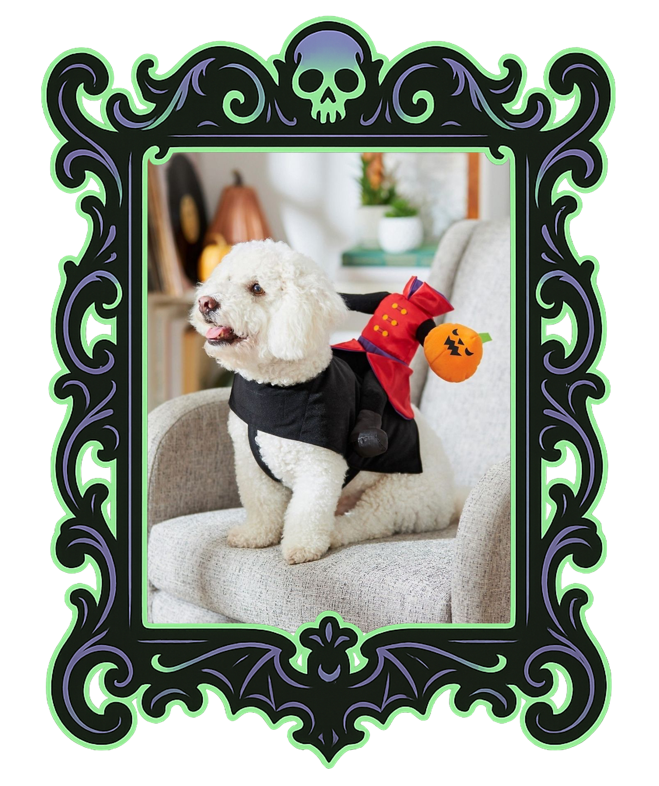 Headless Horsepup Costume