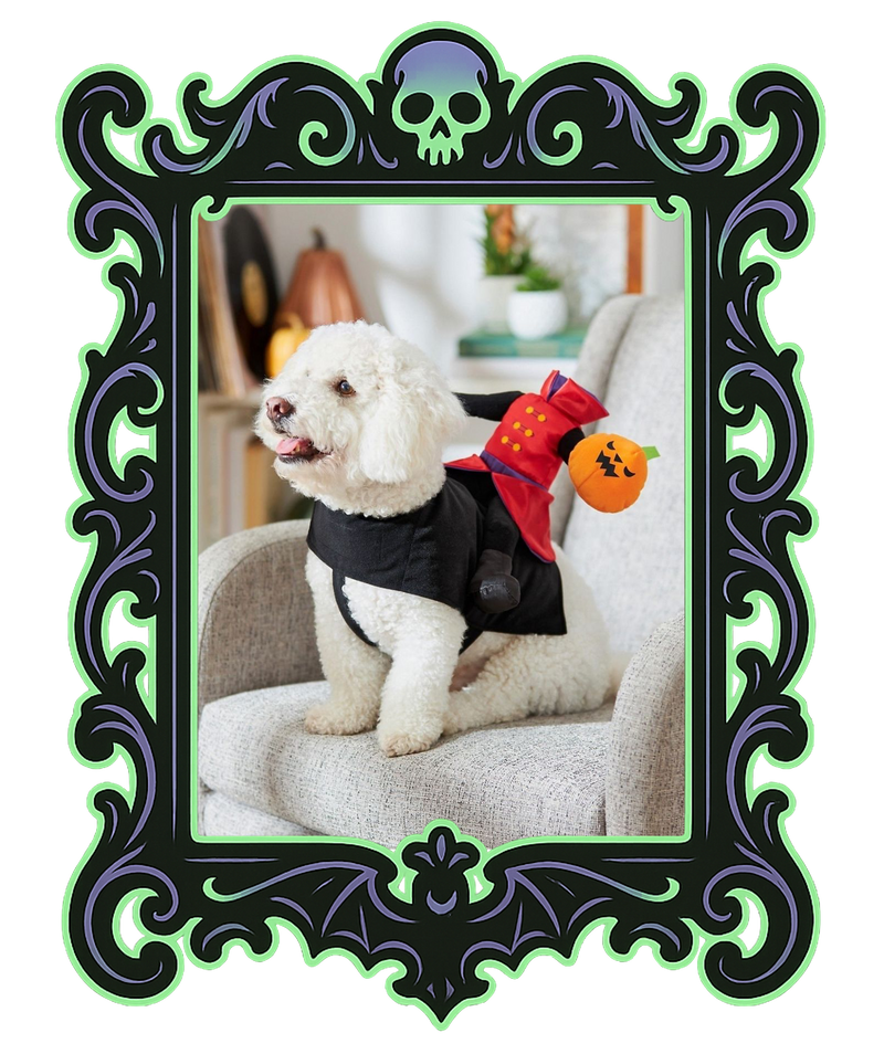 Headless Horsepup Costume