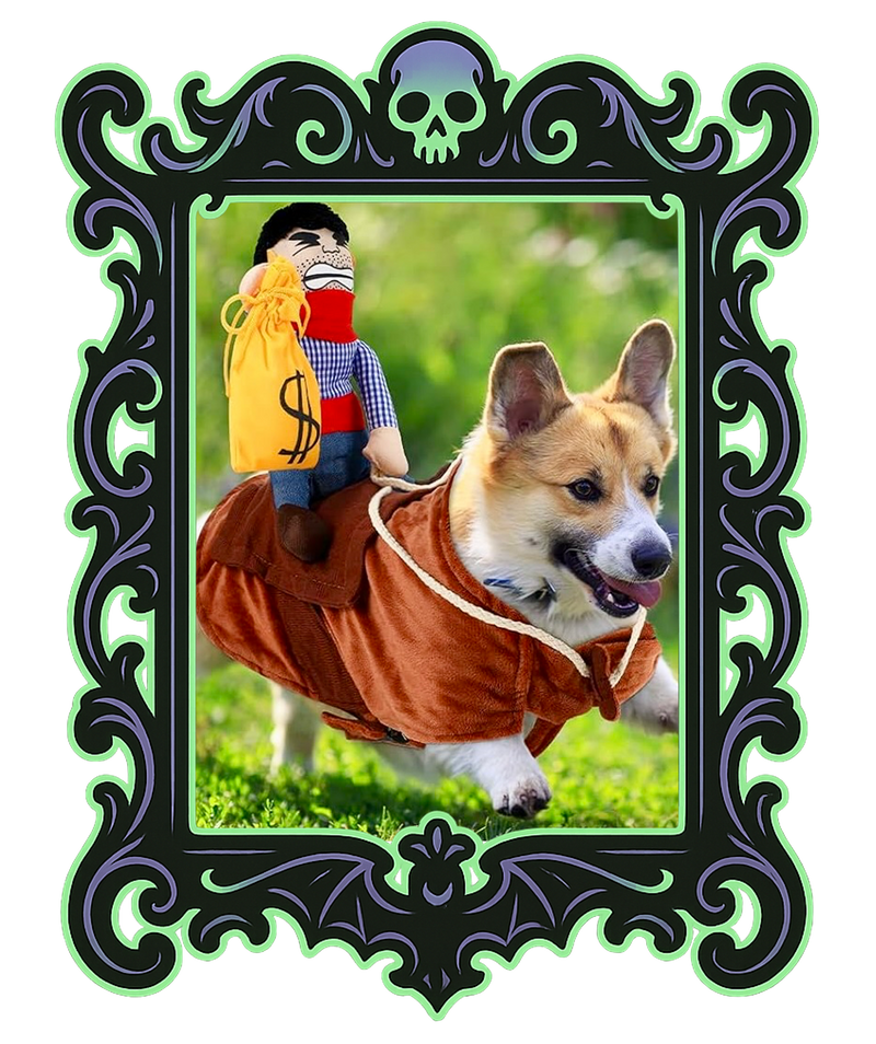 Pup Bank Robber Costume