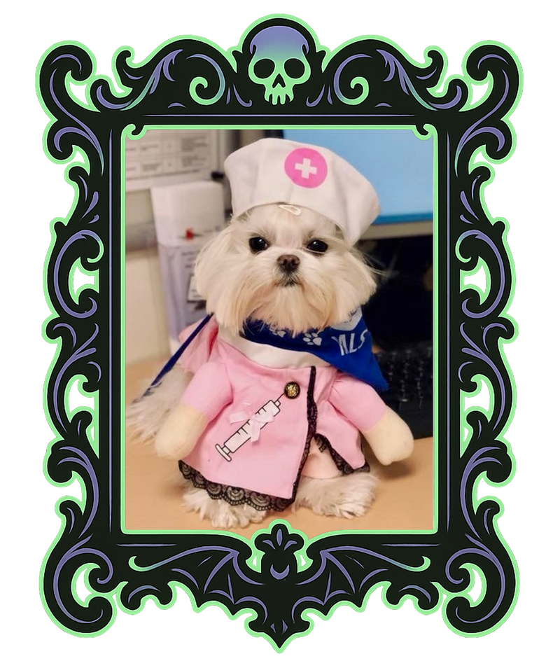 Nurse Pup Costume