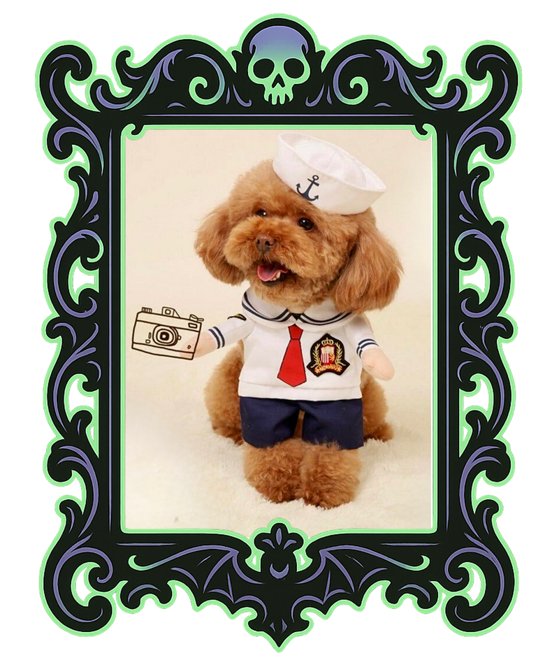 Sailor Pup Costume