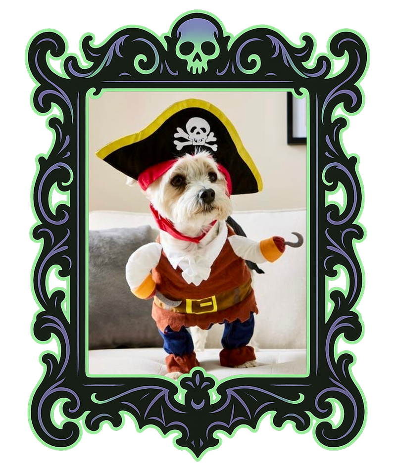 Pirate Pup Costume