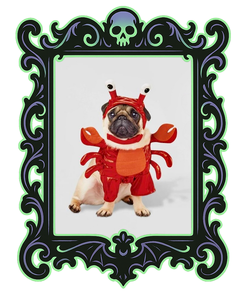 Lobster Pup Costume