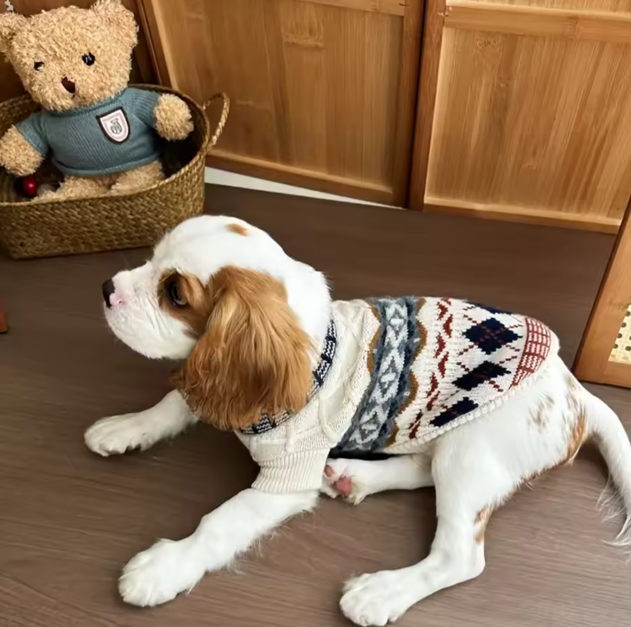 Highland Argyle Knit Pup Sweater