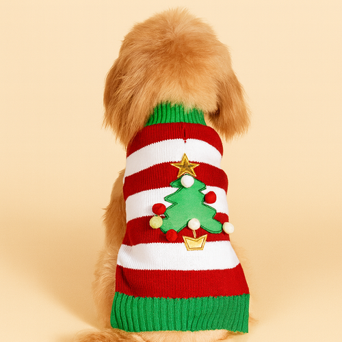 Festive Evergreen Stripes Sweater