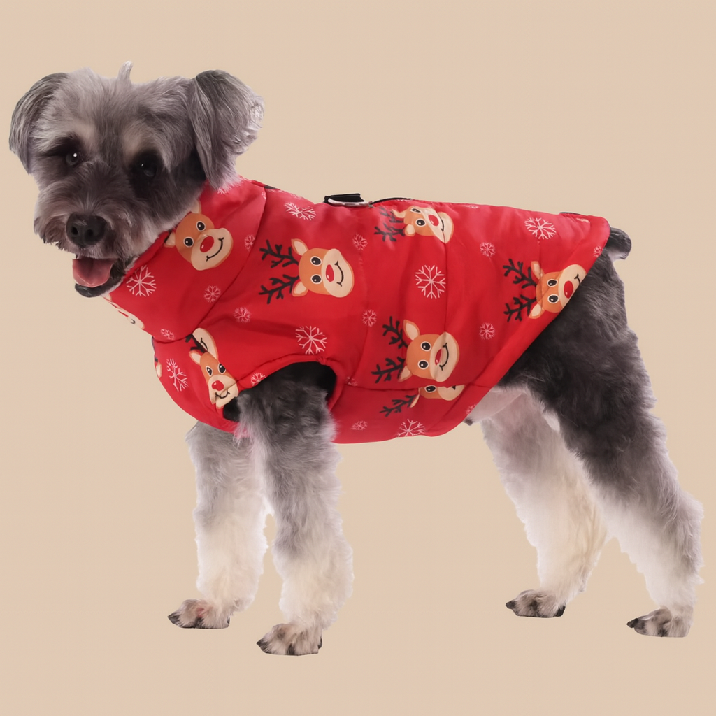 Holiday Cheer Puffer Jacket