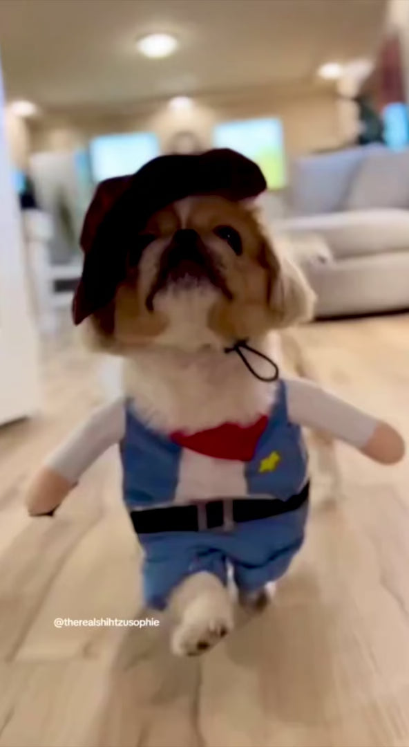 Cowboy Pup Costume